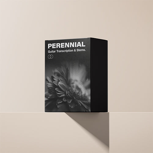 Perennial Guitar Transcription & Backing Track
