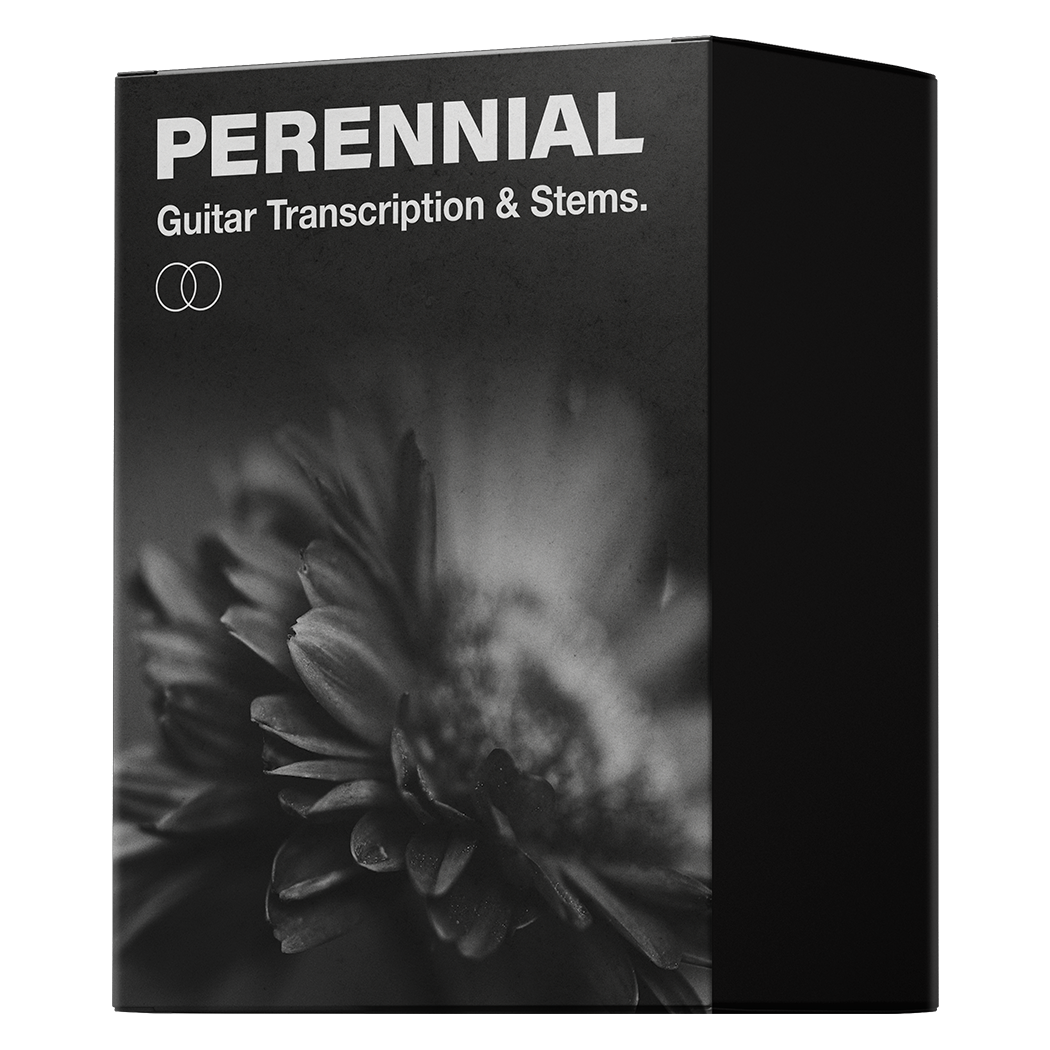 Perennial Guitar Transcription & Backing Track