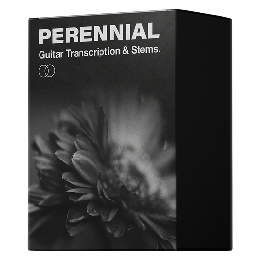 Perennial Guitar Transcription & Backing Track